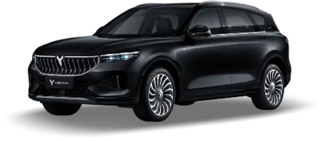 Voyah Free BEV, Black